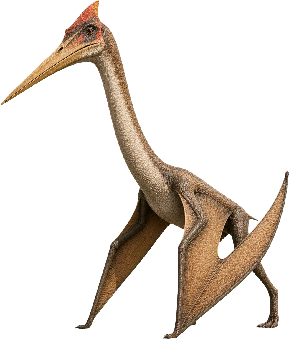Very tall Quetzalcoatlus stands with folded wings beside a small child.